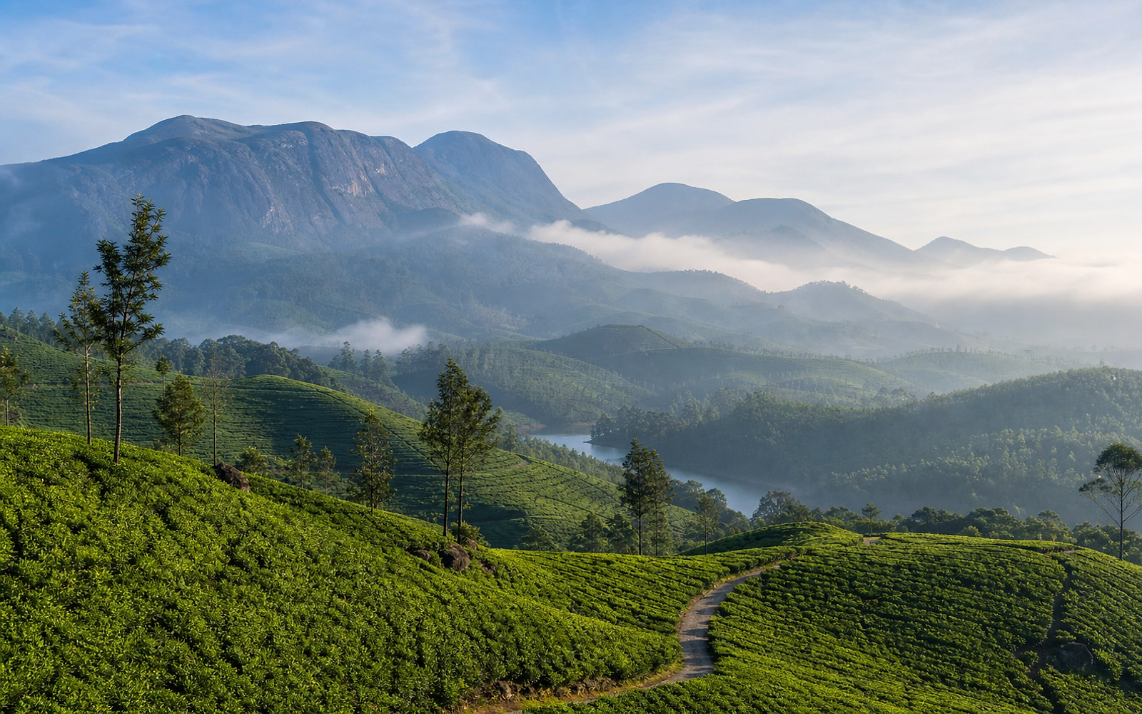 Munnar tour destination
